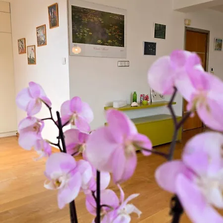 арт мезонет под тепето *