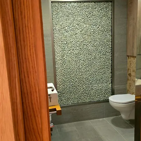 арт мезонет под тепето 아파트 플로브디프